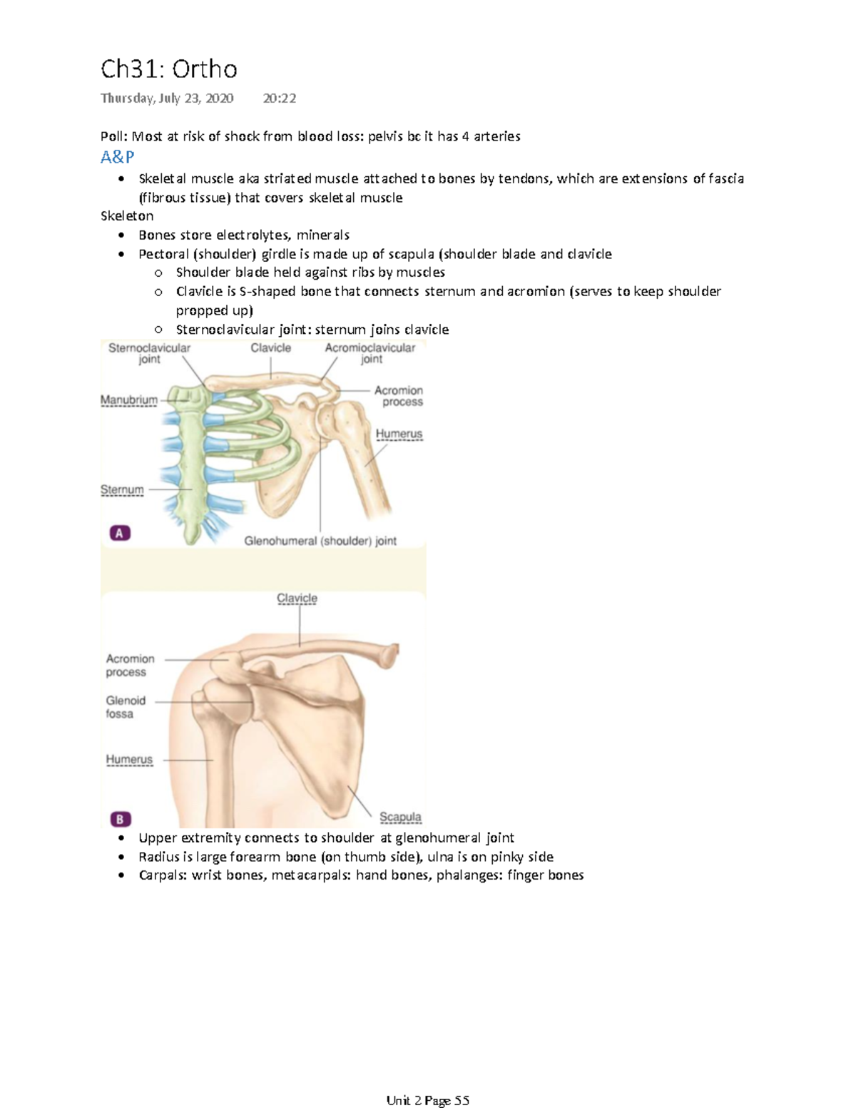 Ch31 Ortho Injuries - Emergency Care And Transportation Of The Sick And ...