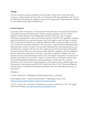Federal and State Courts - Discussion - In order to file a civil ...