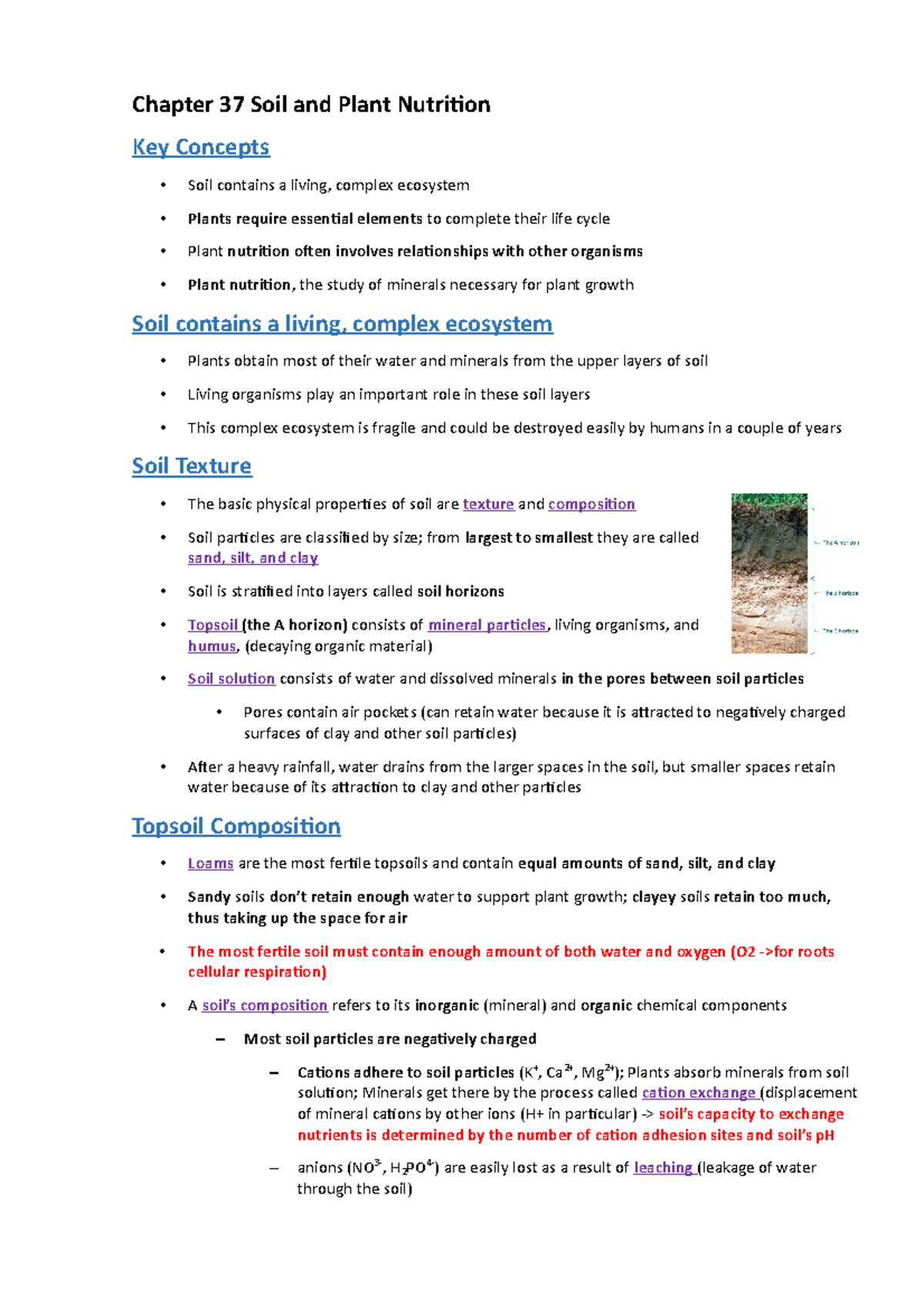 Chapter 37 (Soil and Plant Nutrition) - Notes - Chapter 37 Soil and ...