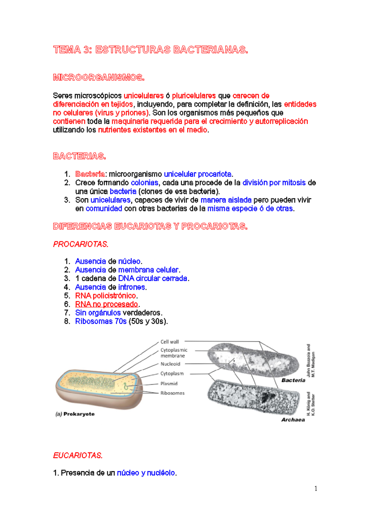 Microt 3 - Apuntes 3 - TEMA 3: ESTRUCTURAS BACTERIANAS. MICROORGANISMOS ...