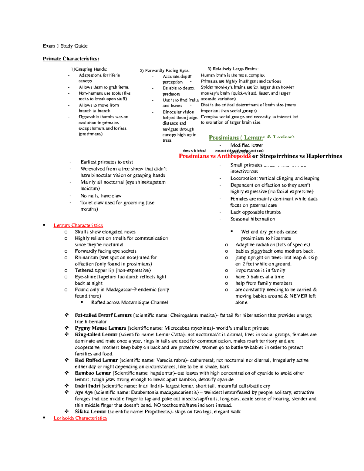 Exam 1 Study Guide - Exam 1 notes - Exam 1 Study Guide Prosimians ...