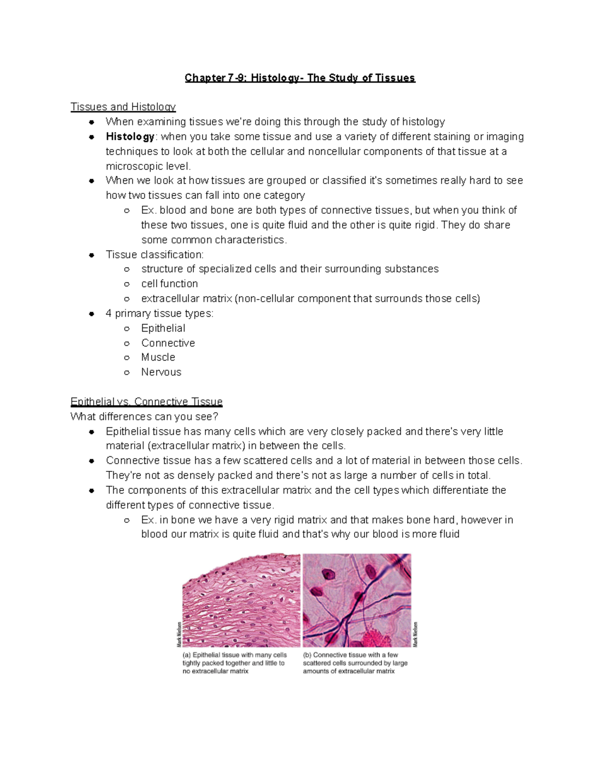 Kin 2Y03 - Google Docs - Lecture Notes All - Chapter 7-9: Histology ...