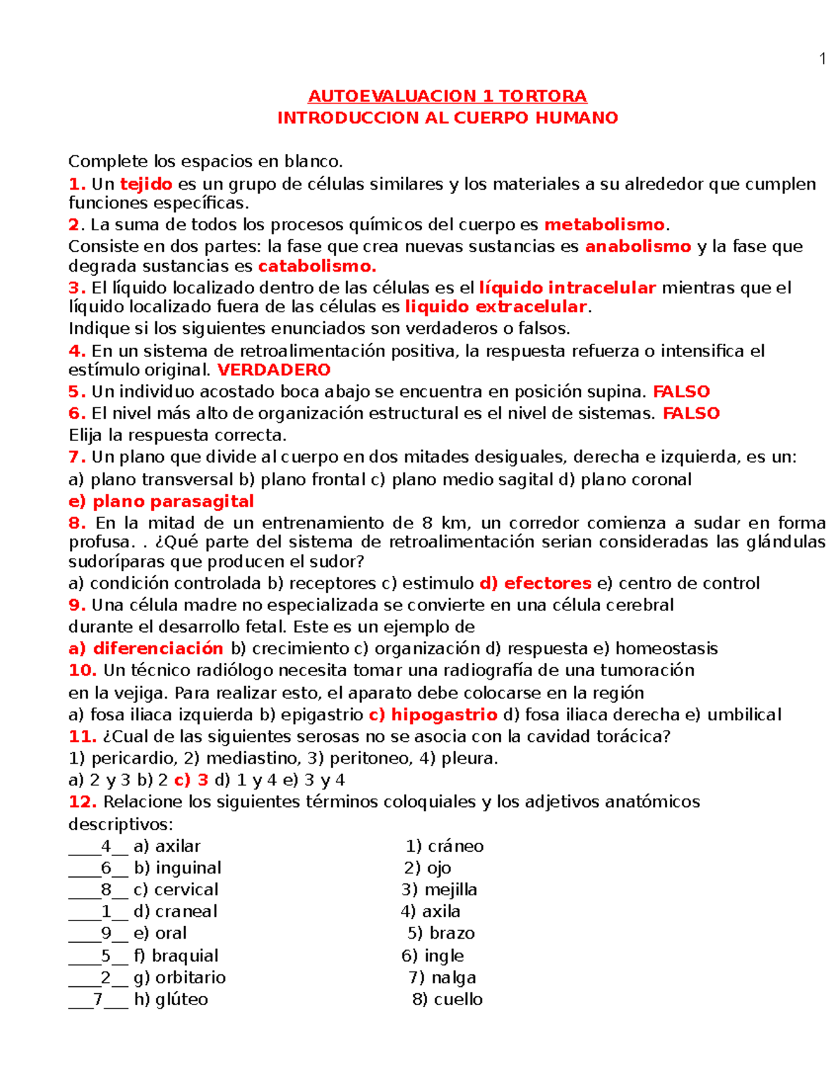 Autoevaluacion 1 Tortora - AUTOEVALUACION 1 TORTORA INTRODUCCION AL ...