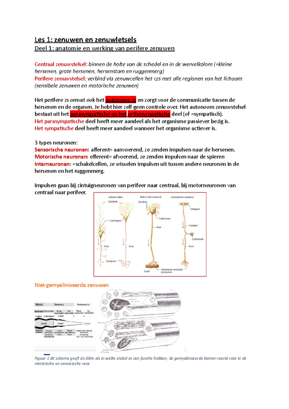 Les 1 - Ppt Samenvatting - Les 1: Zenuwen En Zenuwletsels Deel 1 ...