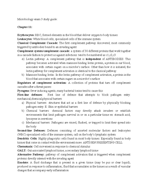 Microbiology exam 3 study guide - Microbiology exam 3 study guide ...