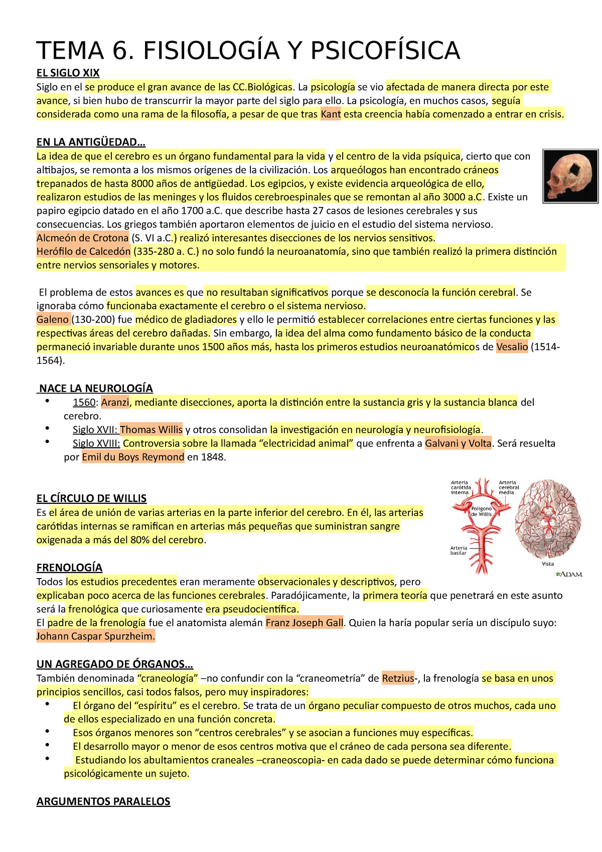 TEMA 6 - Apuntes Tema 6 - TEMA 6. FISIOLOGÍA Y PSICOFÍSICA EL SIGLO XIX  Siglo en el se produce el - Studocu