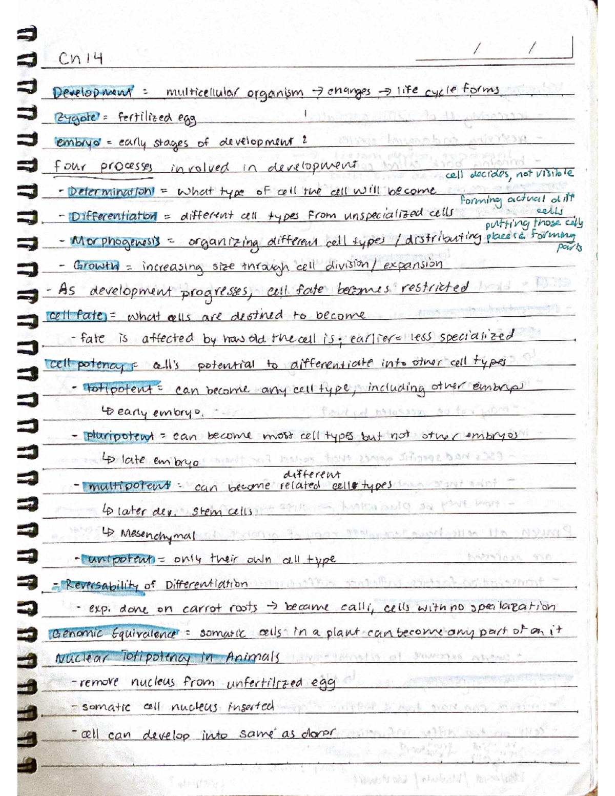 Ch14 - Genes, Development, and Evolution - 111 - Studocu