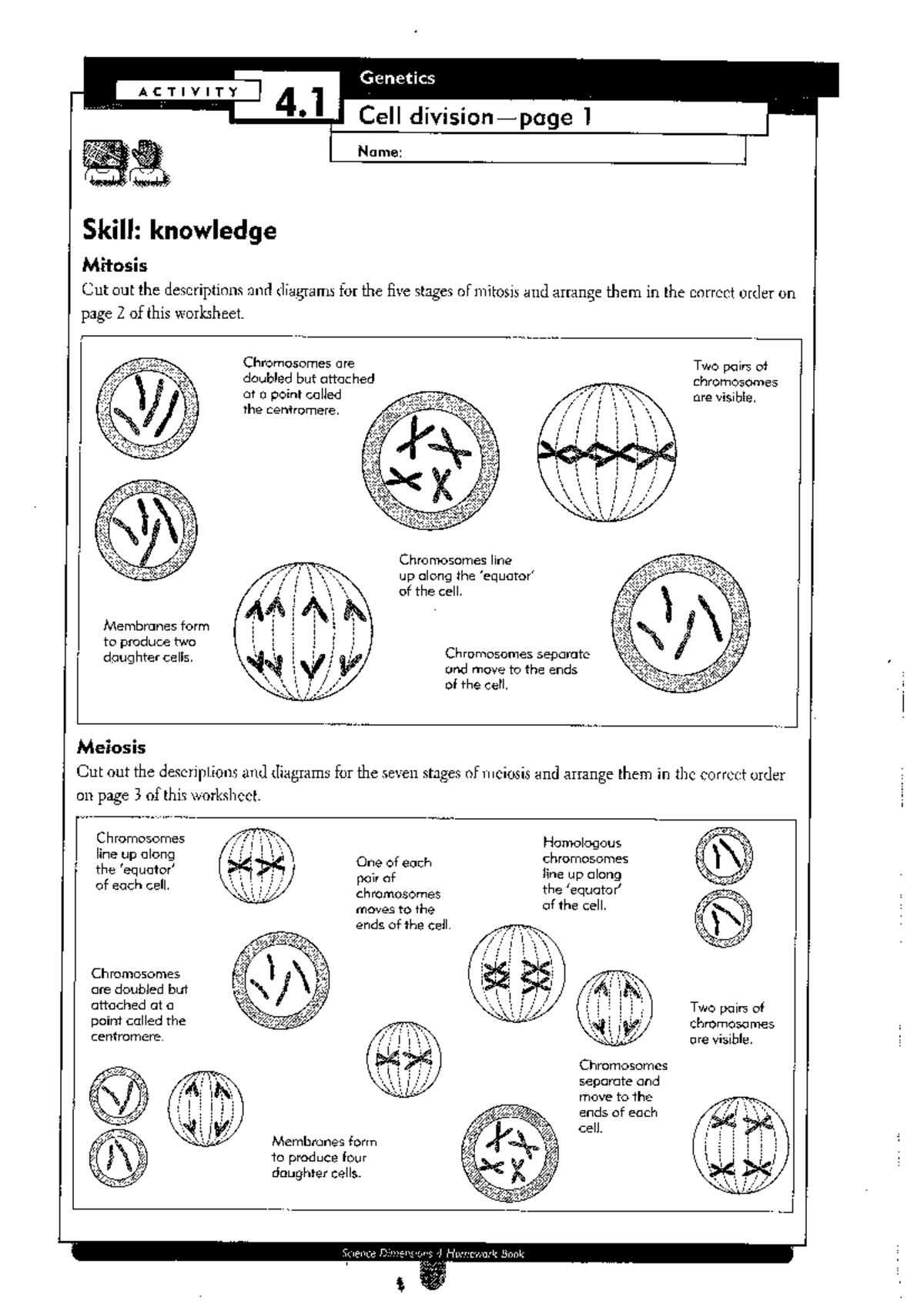 Cell Division Worksheet - victorian certificate of education - Studocu