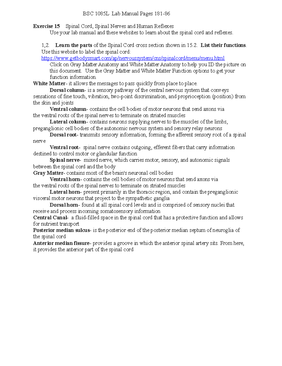 Anatomy and physiology 1 lab exercise 15 and 16 lab document BSC