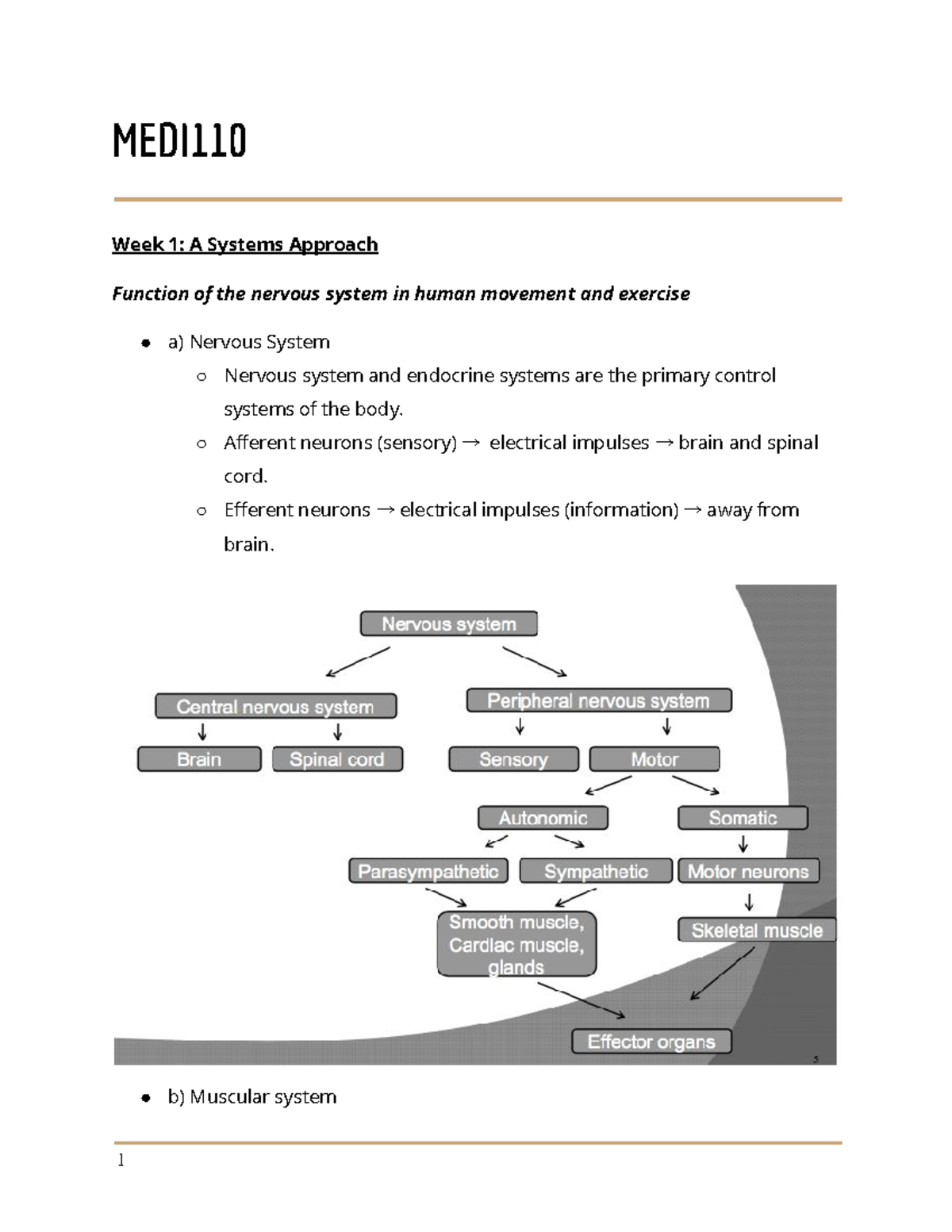 MEDI110 - Lecture notes 1-12 - MEDI Week 1: A Systems Approach Function ...