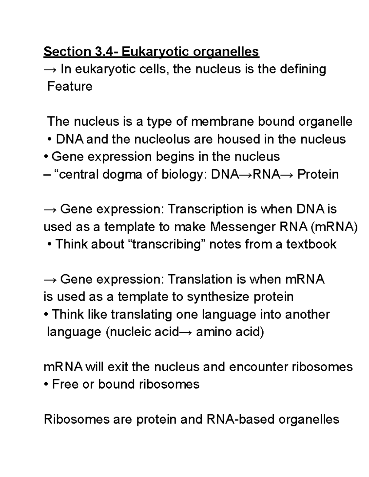 Chapter 3 Section 4- Eukaryotic Organelles - Section 3- Eukaryotic ...