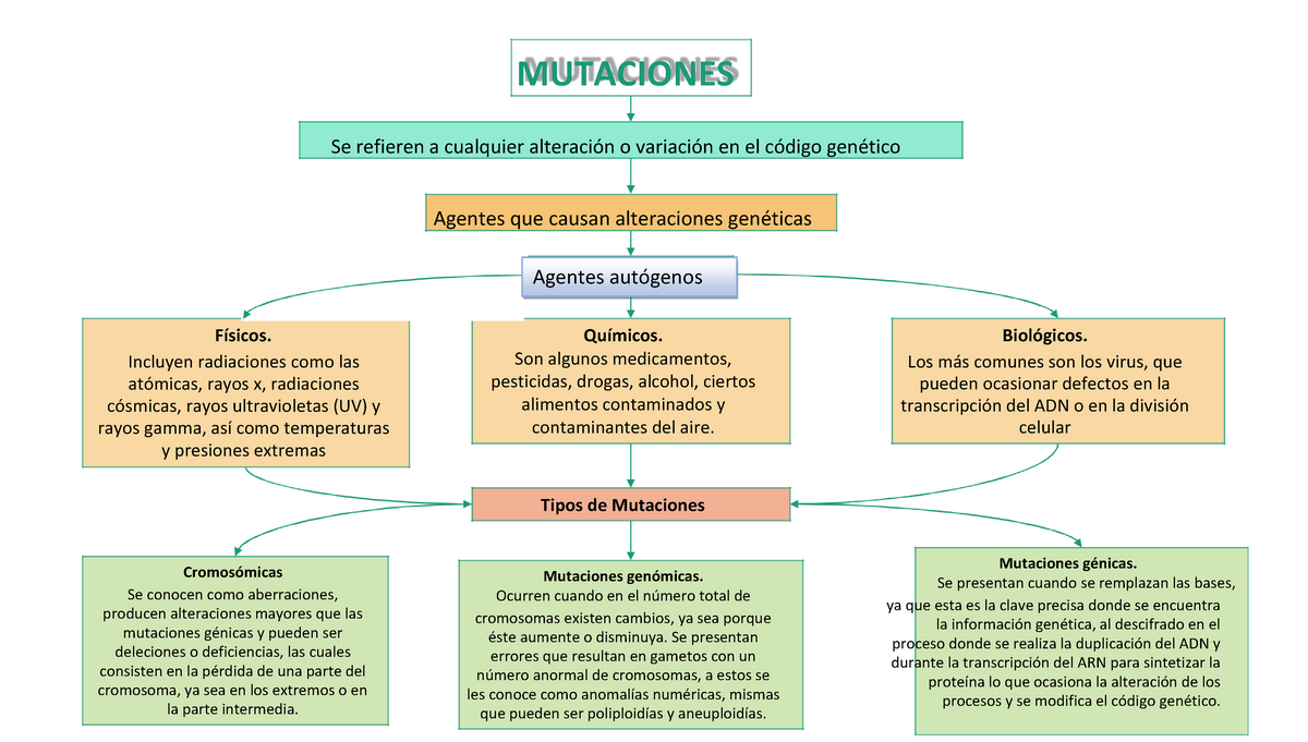  conceptual - MUTACIONES Se refieren a cualquier alteración  o variación en el código - Studocu