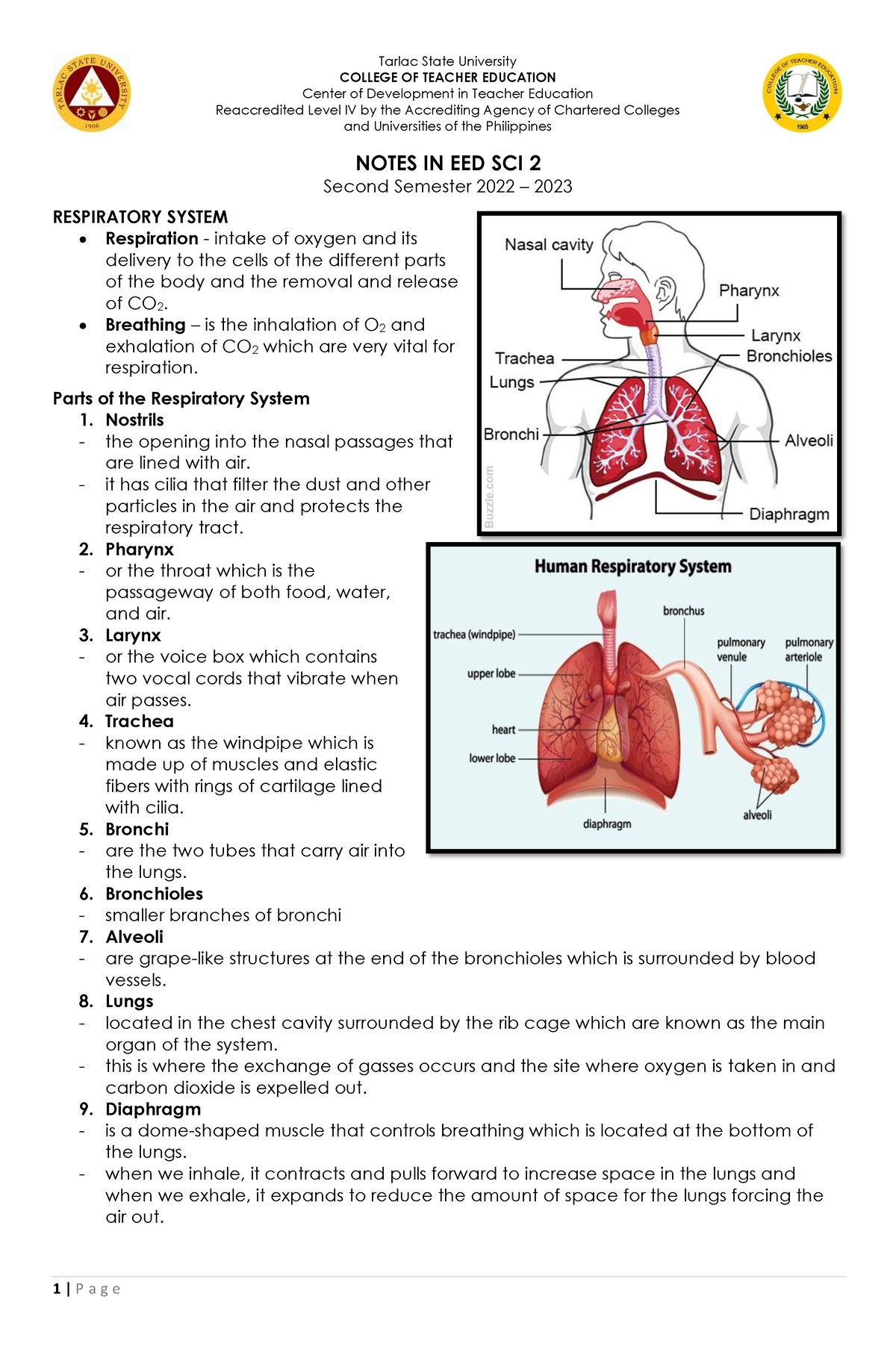 Respiratory System - 1 