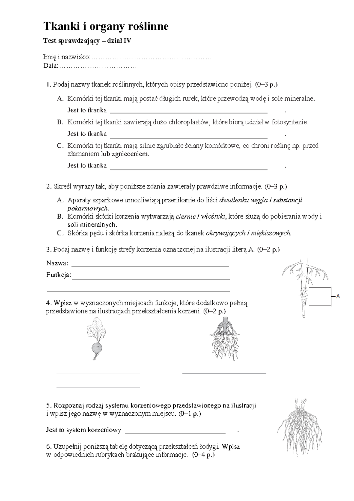 TEST - TKANKI TEST - Tkanki i organy roślinne Test sprawdzający – dział ...