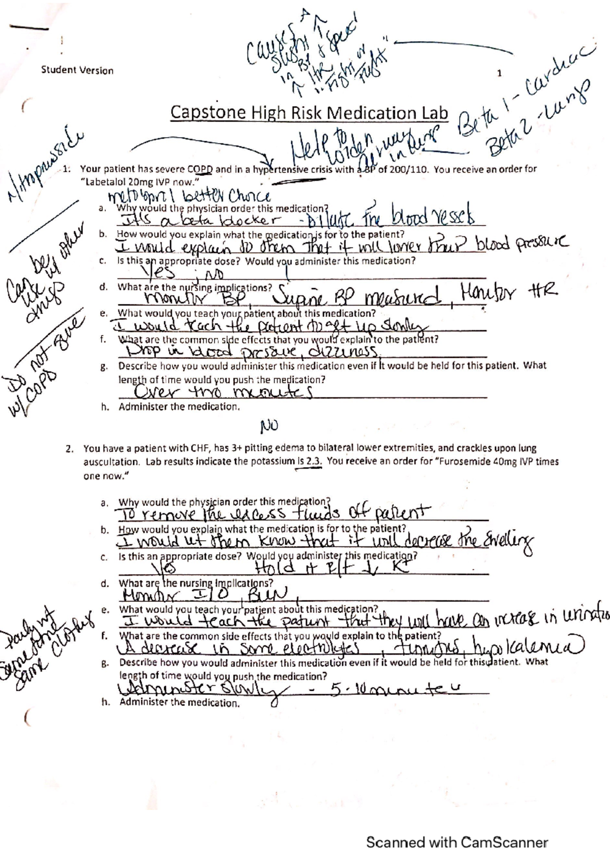 Capstone High Risk Medication List NR446 Studocu