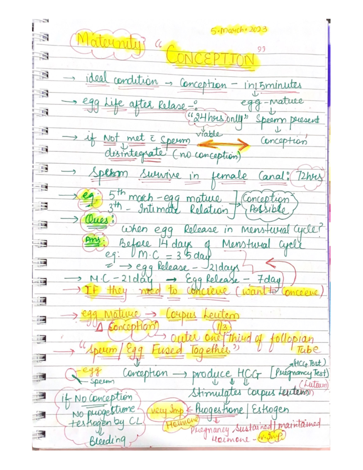 Conception Notes 5 March 2023 - Studocu