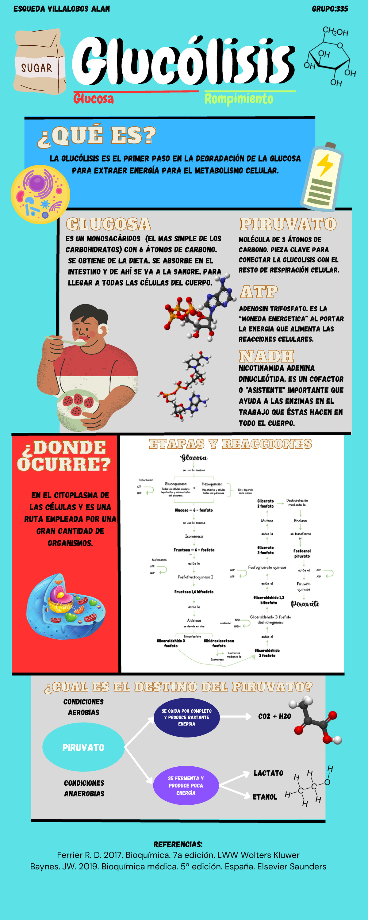 Glucolisis Resumen Gluc Lisisgluc Lisis Piruvato Se Oxida Por Completo Y Produce Bastante