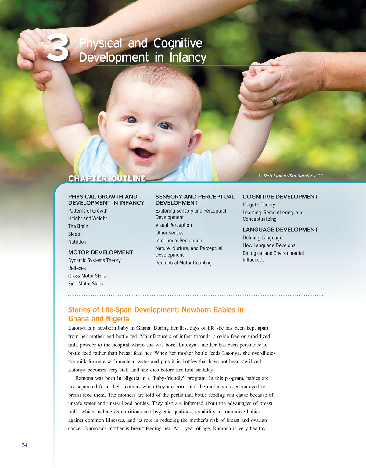 Physical and cognitive development best sale in infancy