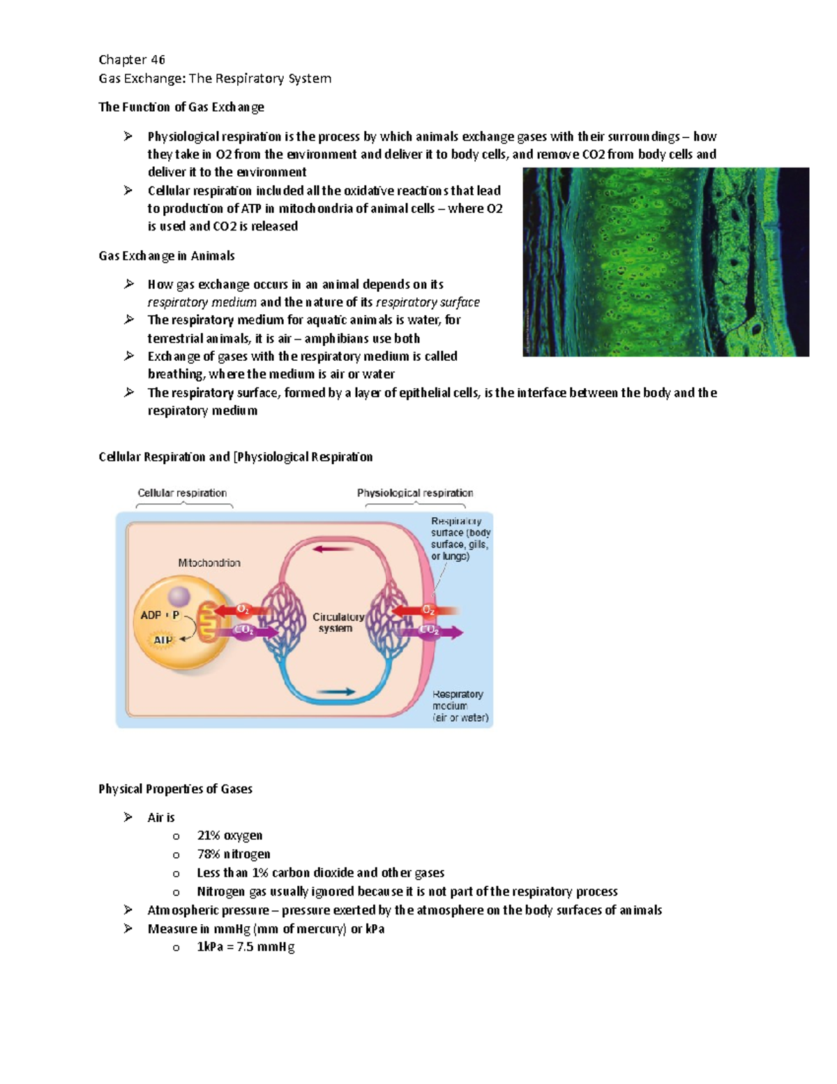 chapter-46-biol-2-chapter-46-gas-exchange-the-respiratory-system-the