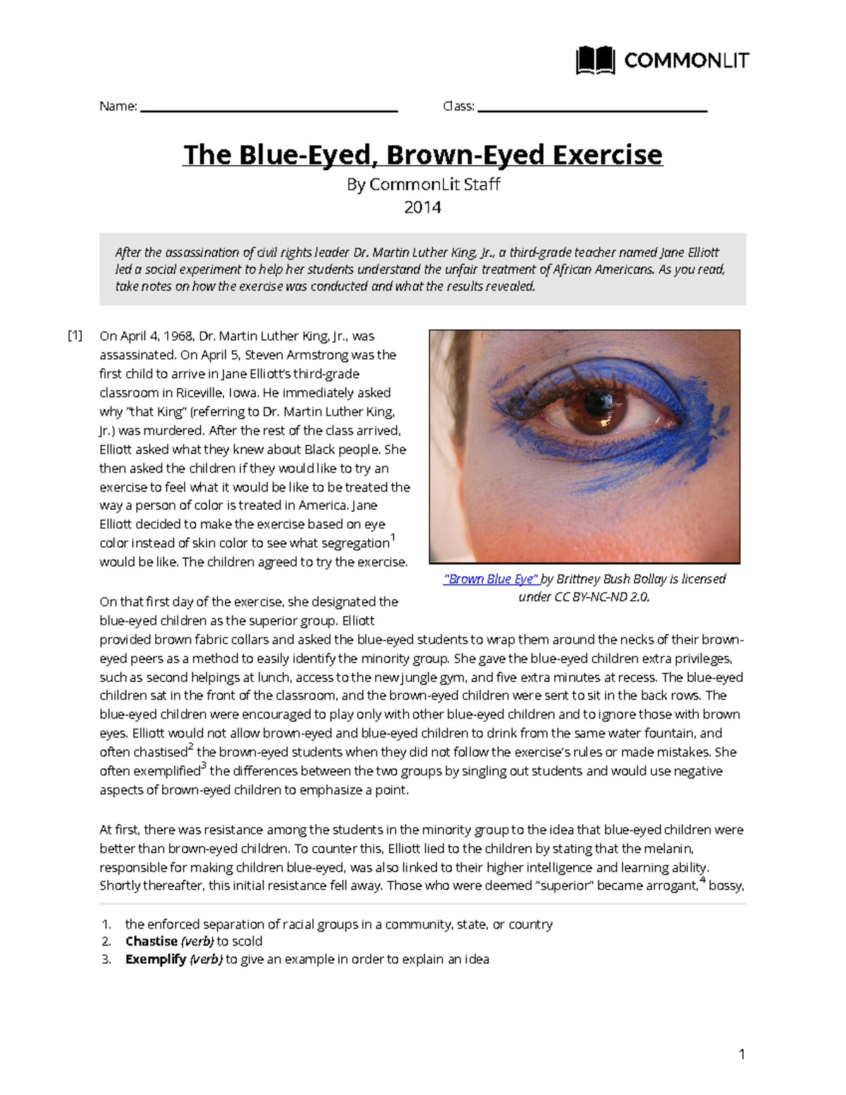 blue eyed brown eyed experiment worksheet