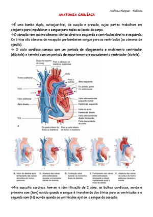 Síndrome Coronariana Aguda - →Corresponde ao conjunto de sinais e ...