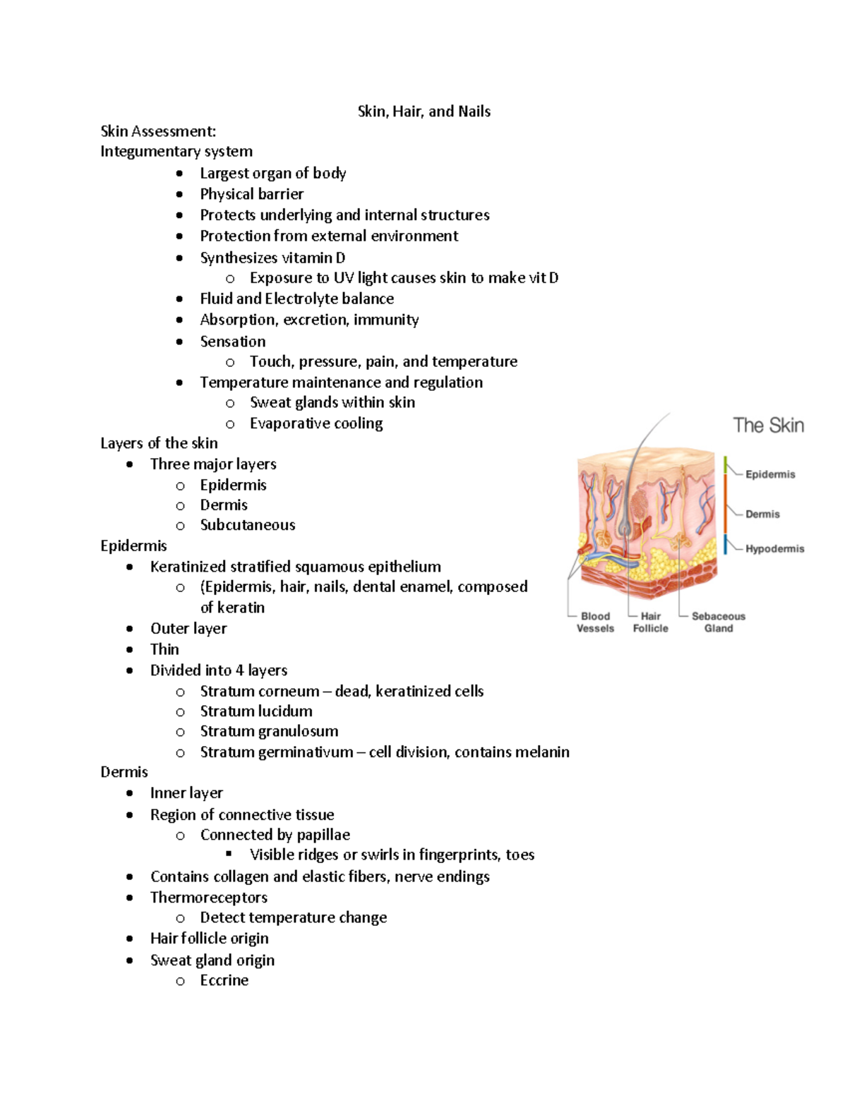 Skin Assessment - Skin, Hair, and Nails Skin Assessment: Integumentary ...