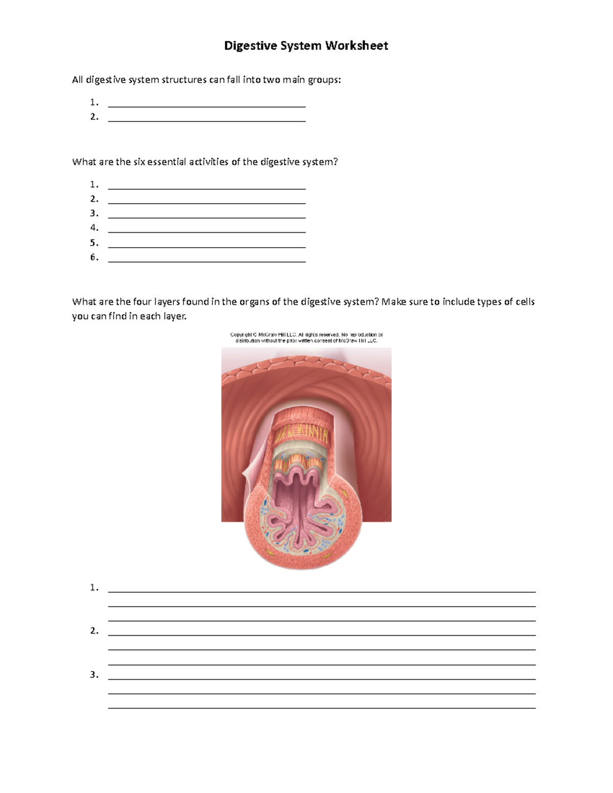 Digestive System Worksheet - All Digestive System Structures Can Fall ...