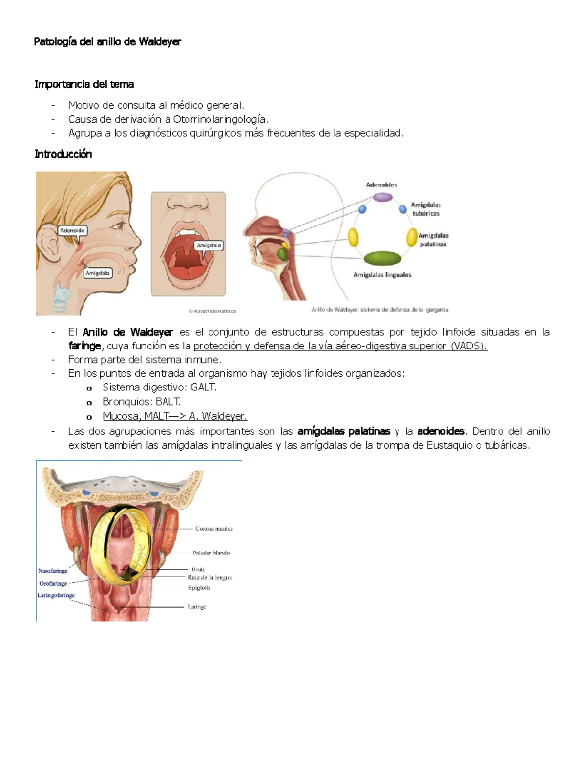 Anillo de waldeyer pdf sale