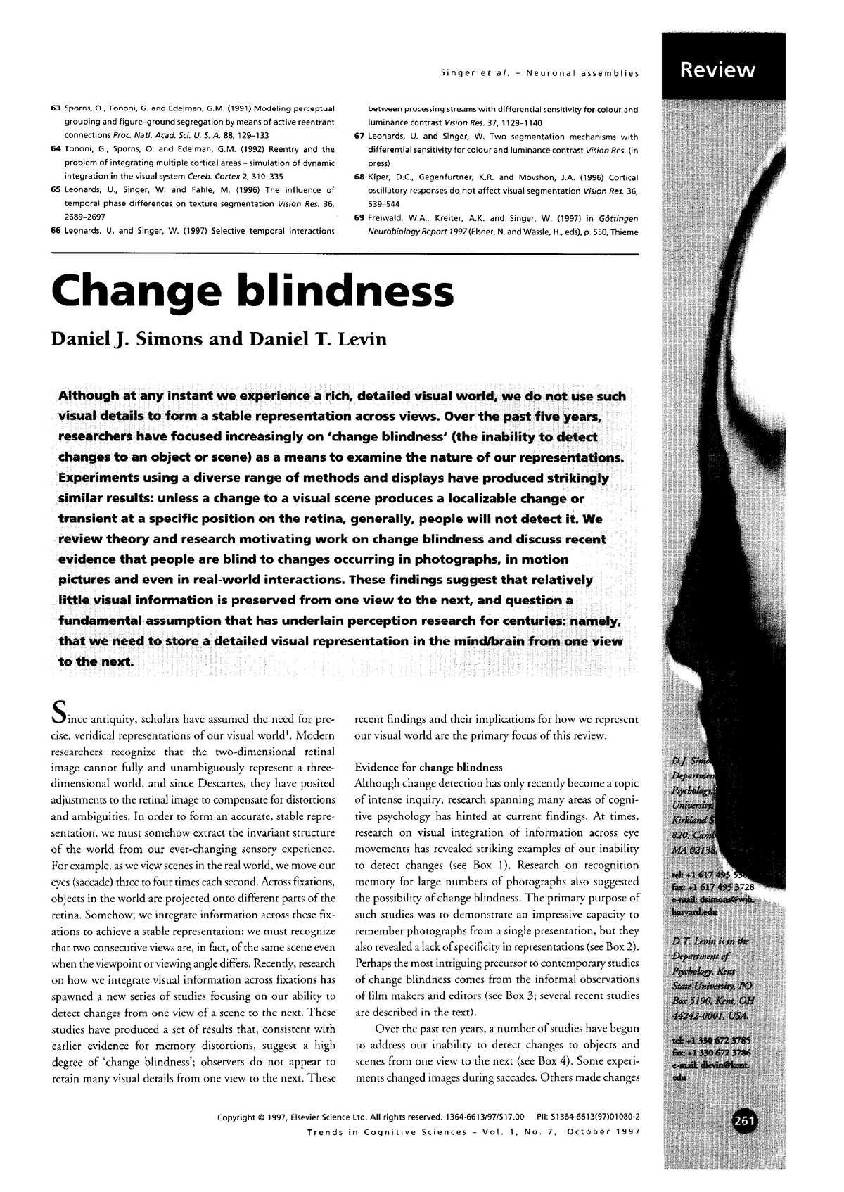 change blindness essay