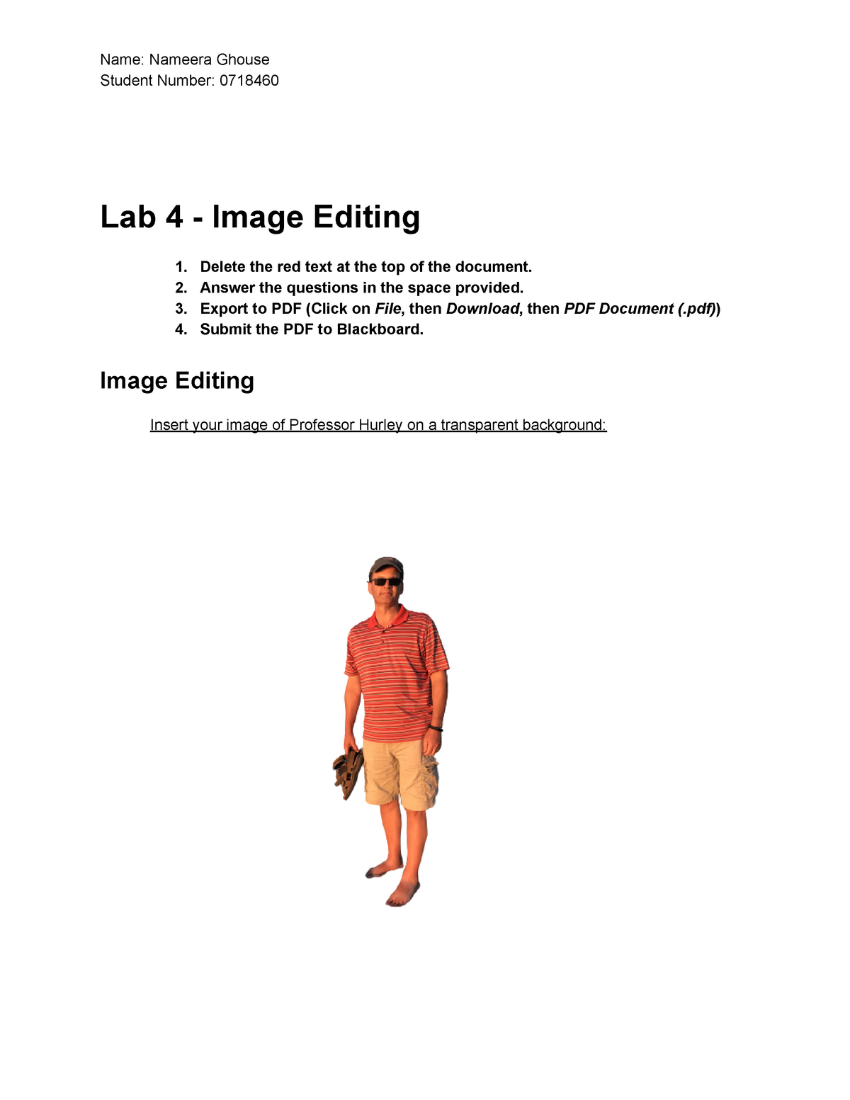 Copy of Lab 4 - Image Editing - Name: Nameera Ghouse Student 