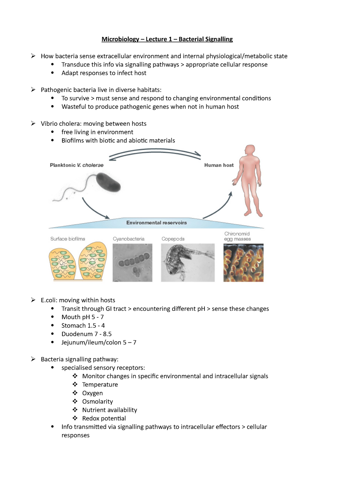 Microbiology – Lecture 1 – Bacterial Signalling - 1 - Microbiology ...