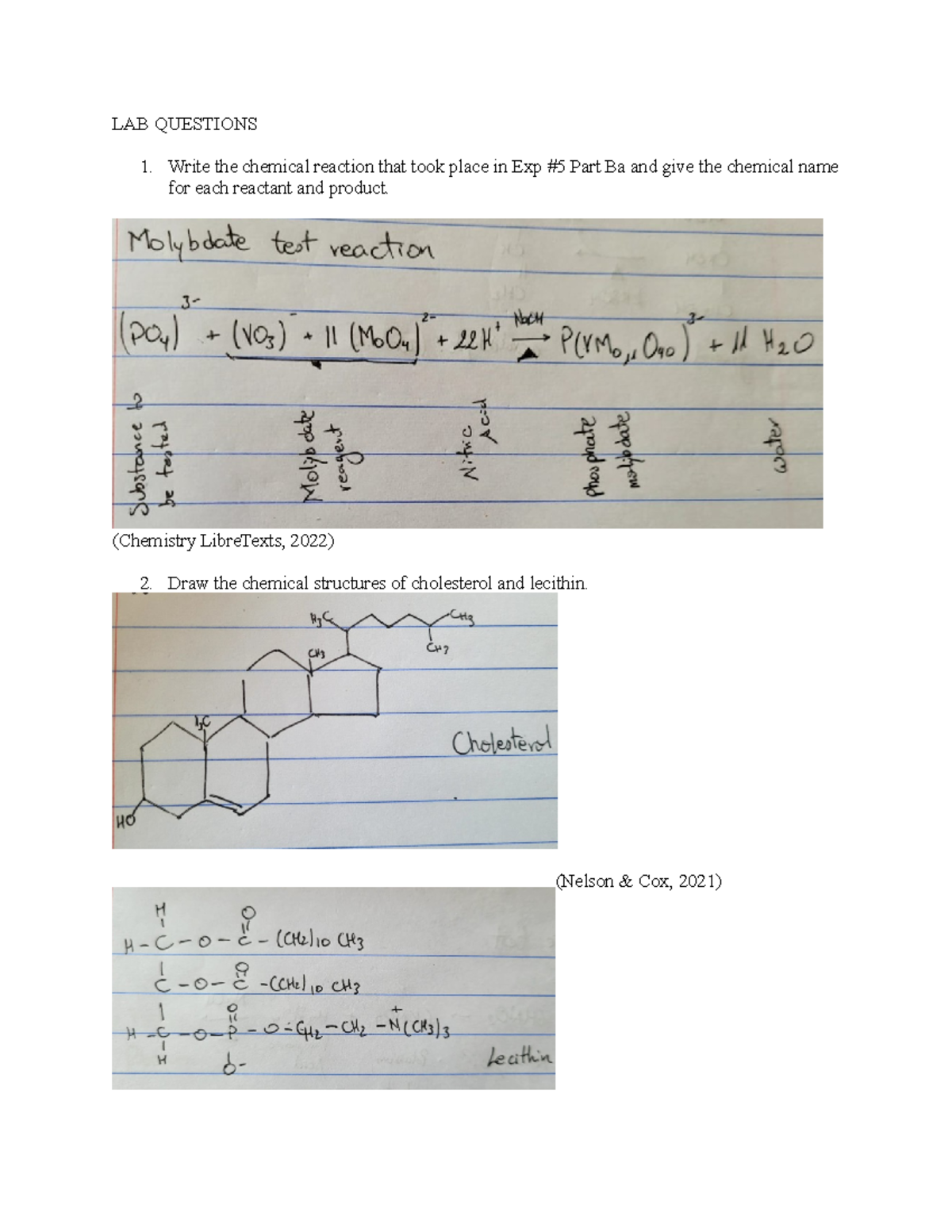 Post lab questions - LAB QUESTIONS Write the chemical reaction that ...