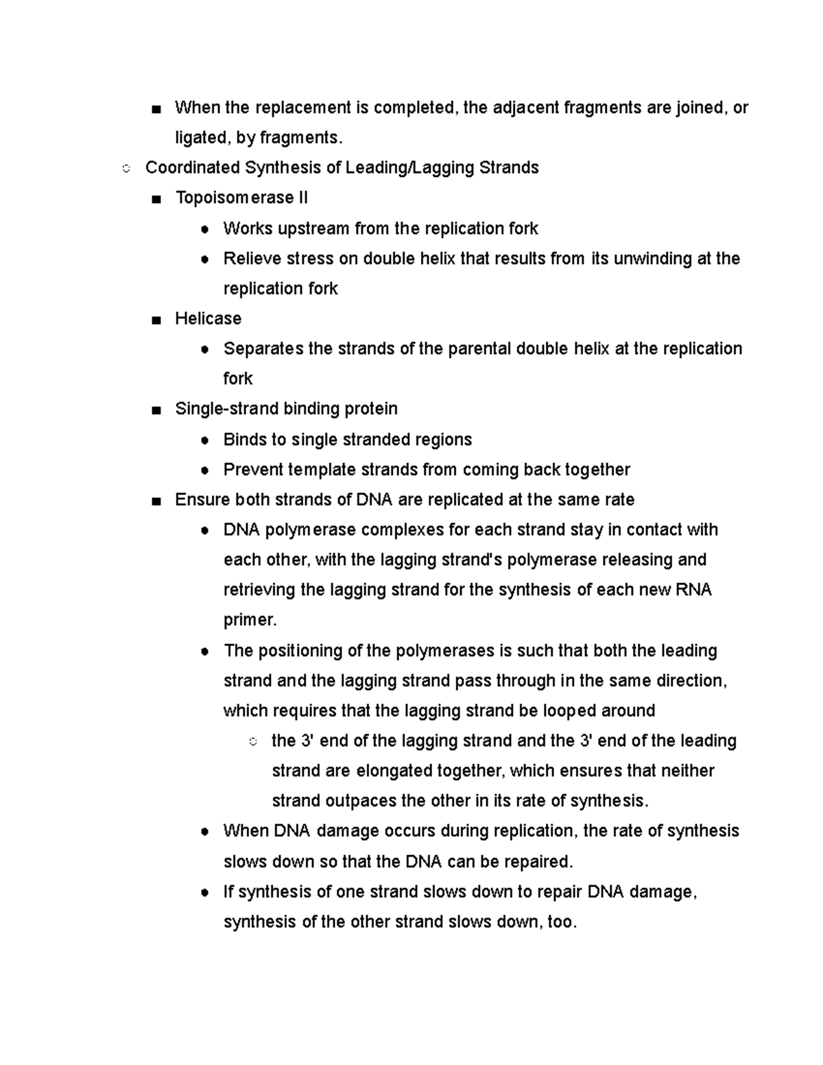 DNA Polymerase - Studocu