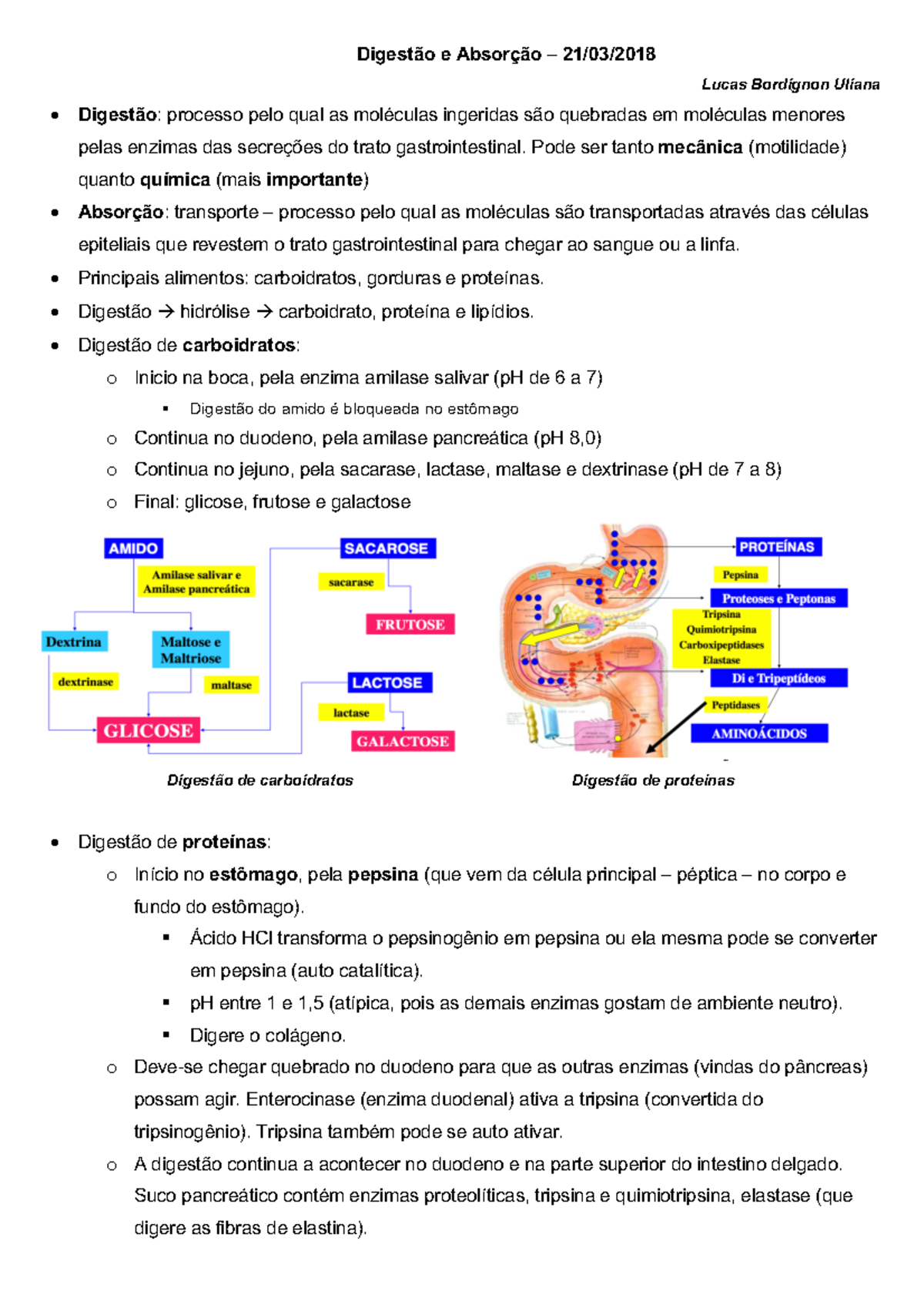 7 - Digestão E Absorção Incompleto - Digestão E Absorção – 21/03/2018 ...