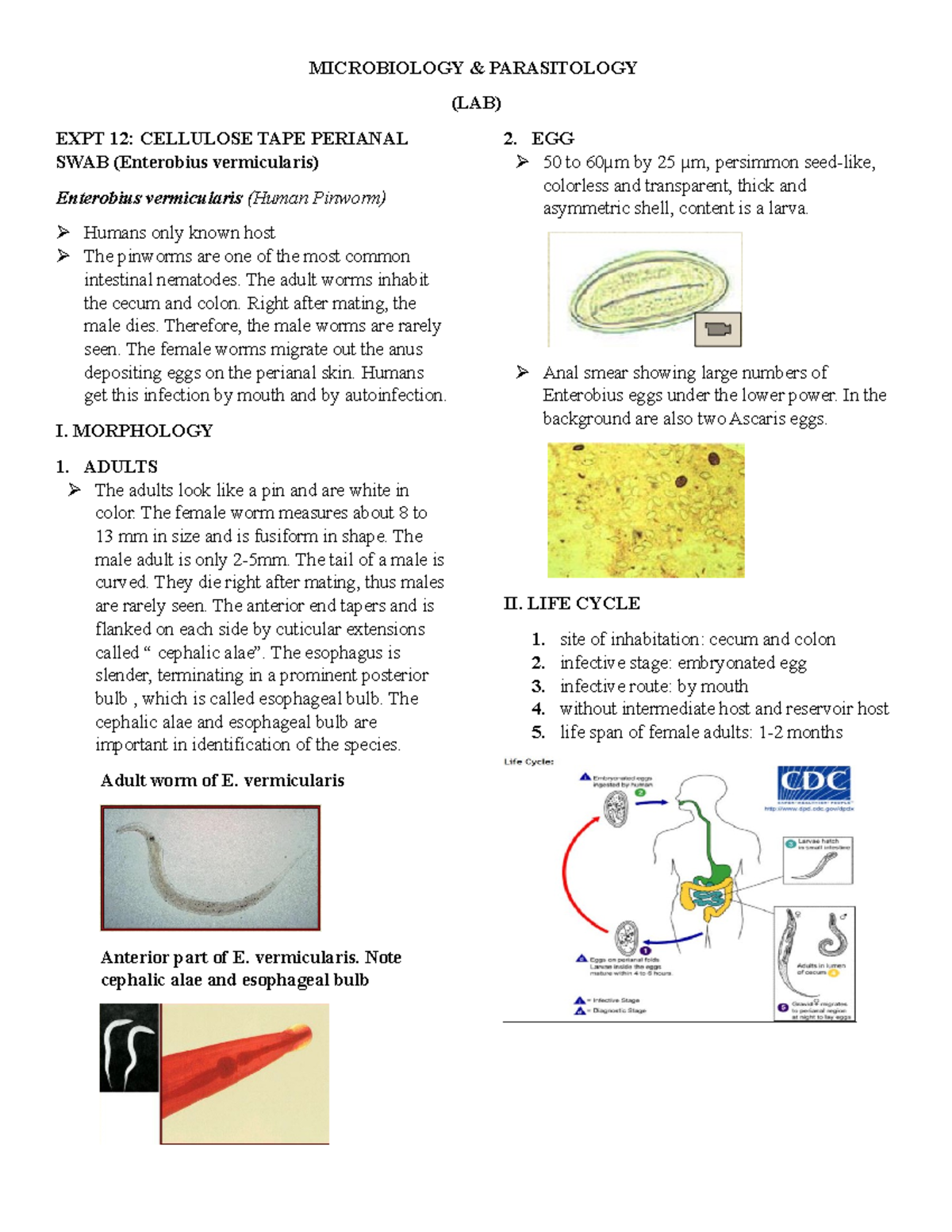 Micropara (LAB) MICROBIOLOGY & PARASITOLOGY (LAB) EXPT 12 CELLULOSE