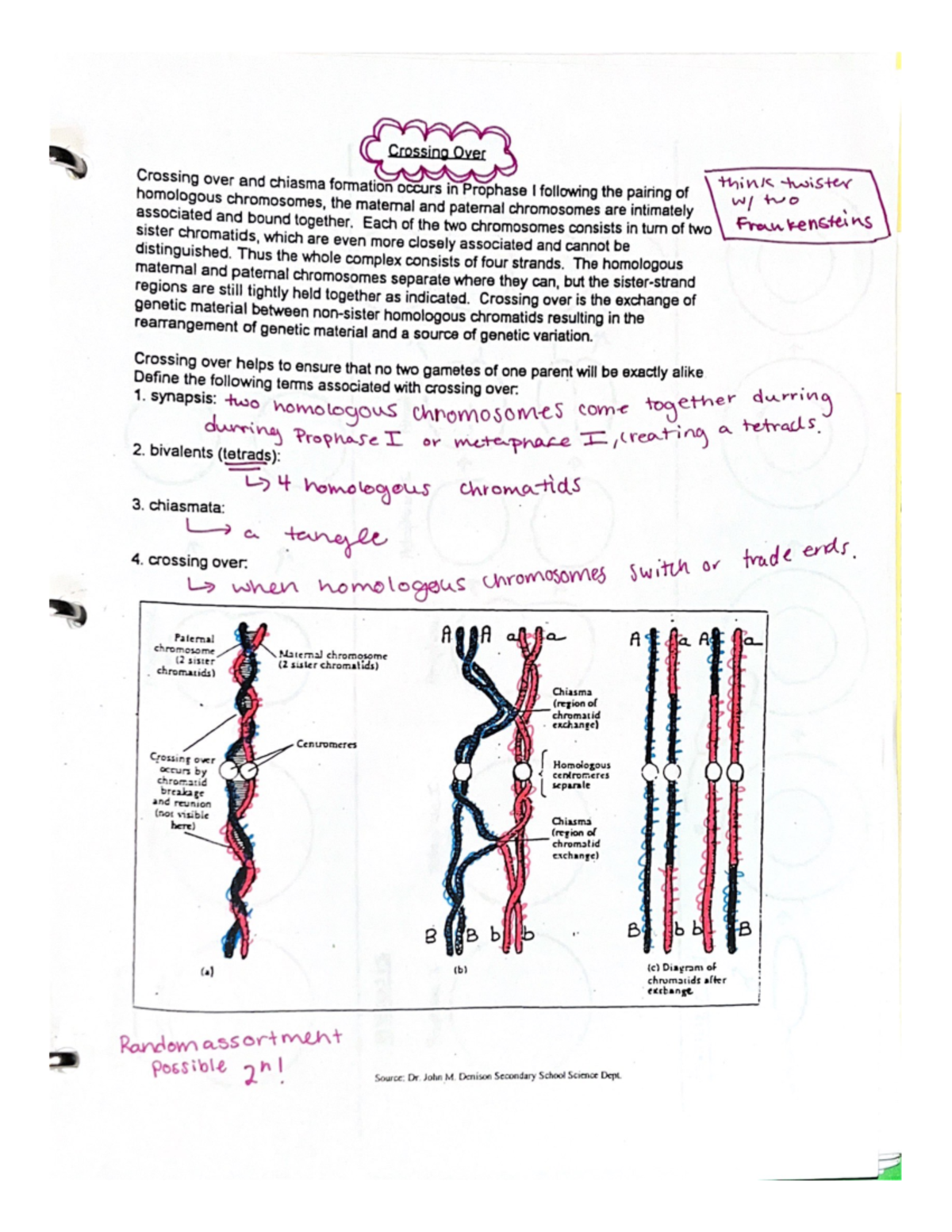 Crossing over Class note! - Studocu