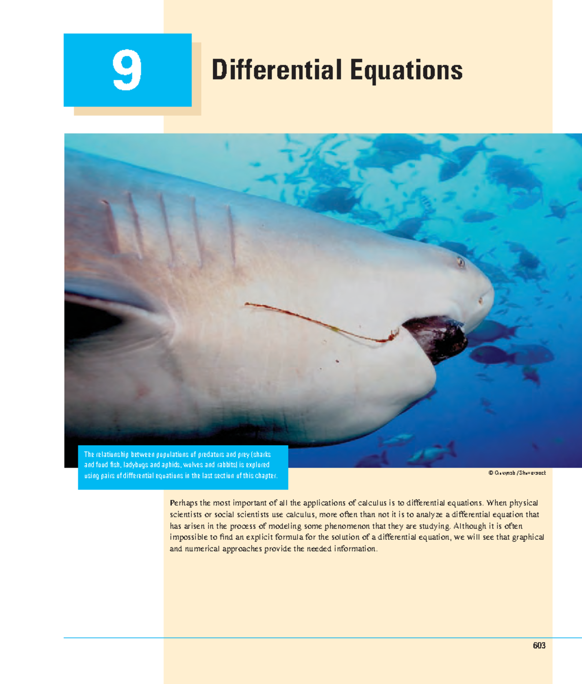 Chapter 9 calculus stewart Differential Equations 9 Perhaps the