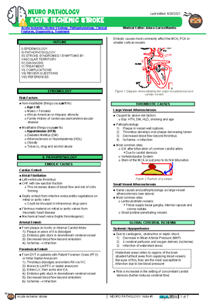 Ascending Tracts Dorsal Column Medial Lemniscus atf - 1 of 4 24 ...