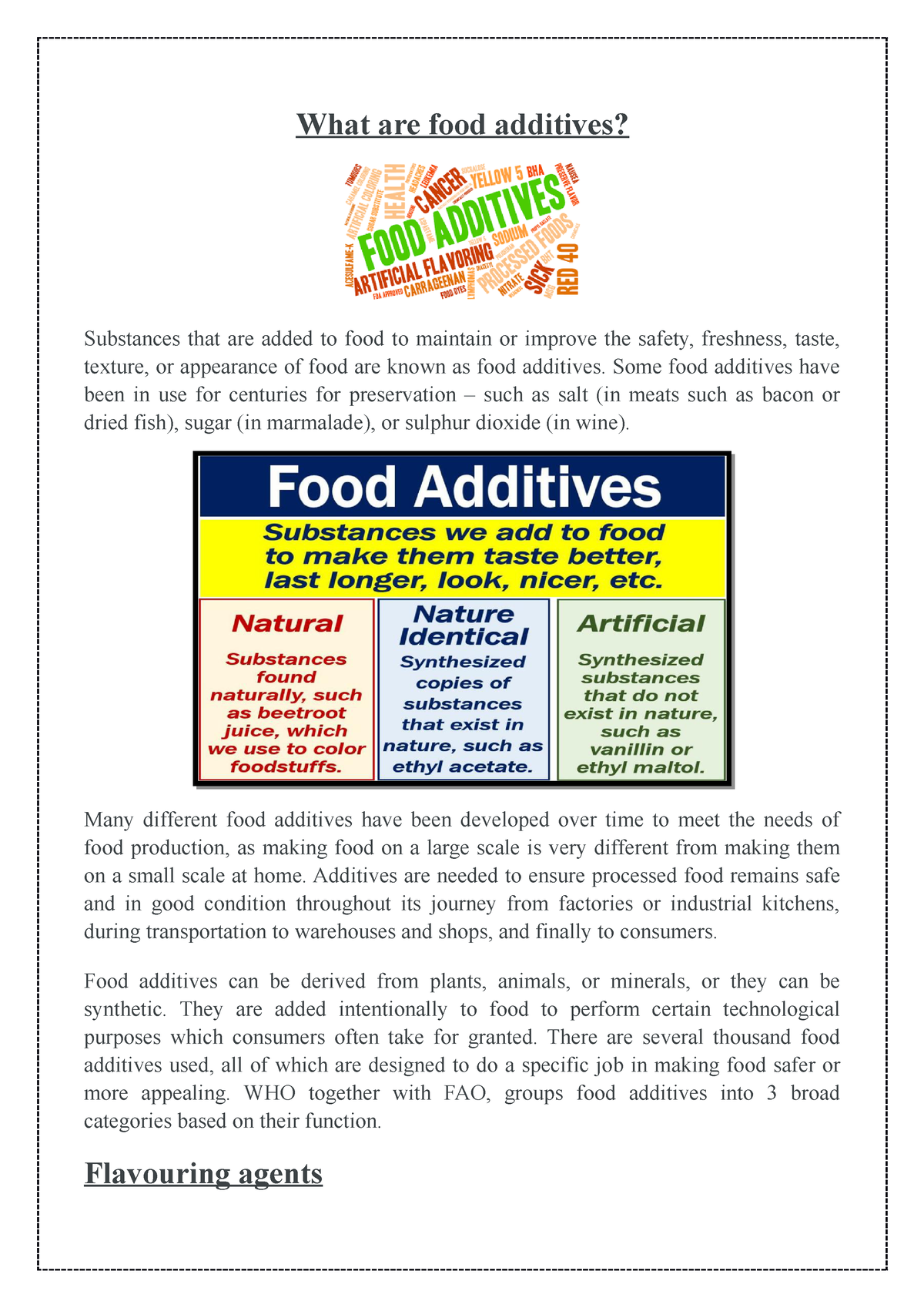 essay about food additives