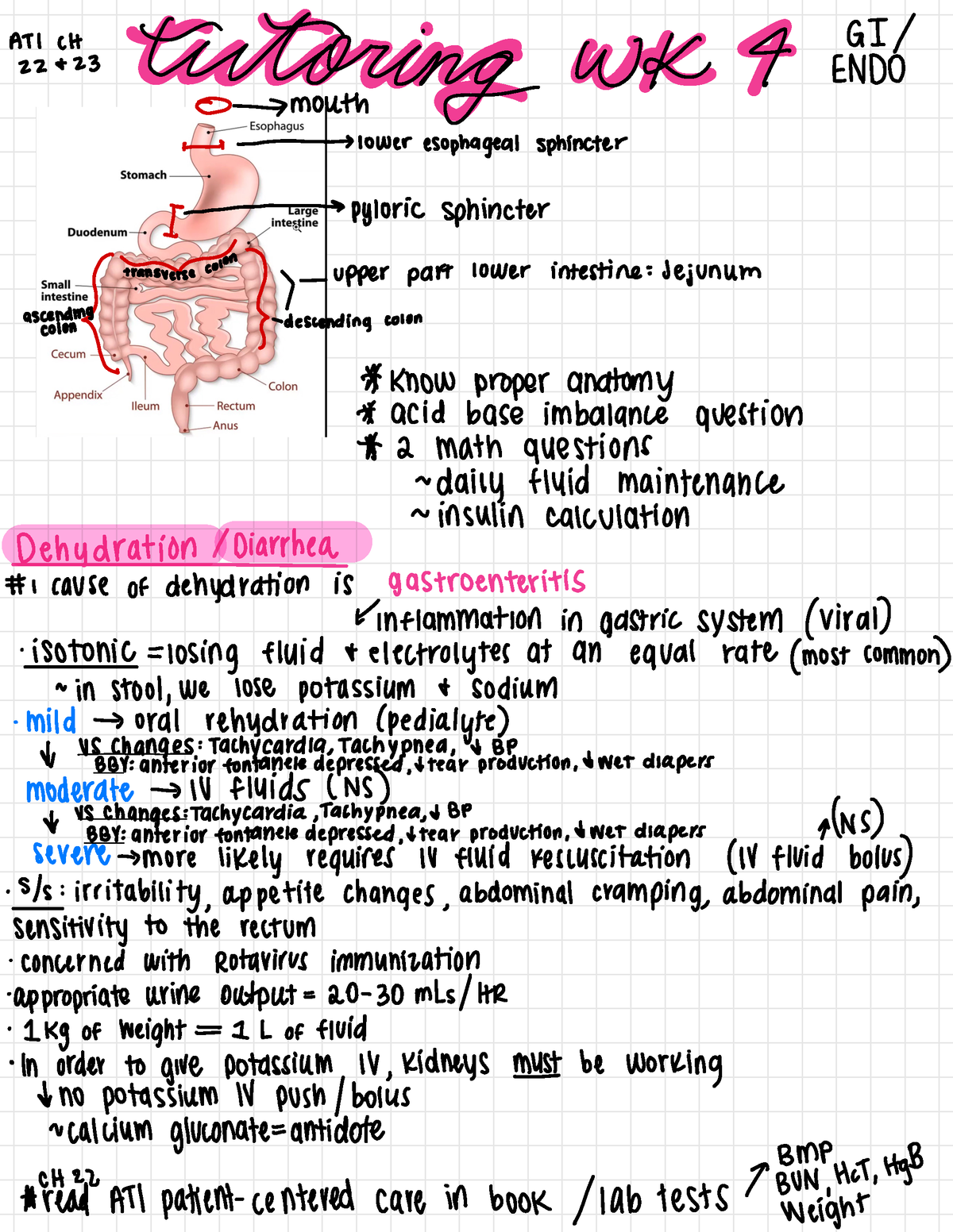 Tutoring Wk 4 GI/ Endocrine - GI / A 