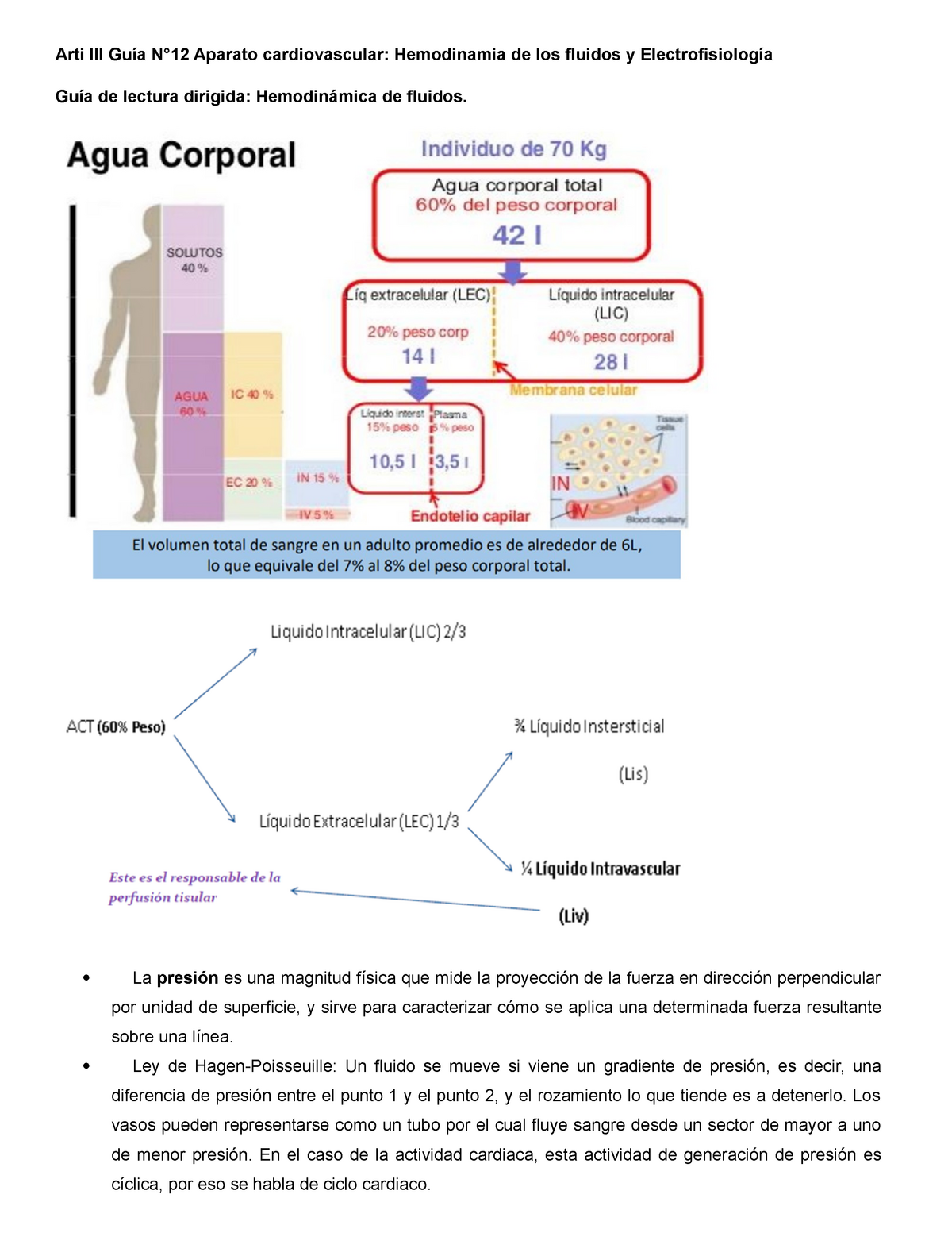 Arti Iii Guía N°12 Hemodinamia De Los Fluidos Y Electrofisiología Arti Iii Guía N°12 Aparato 3146