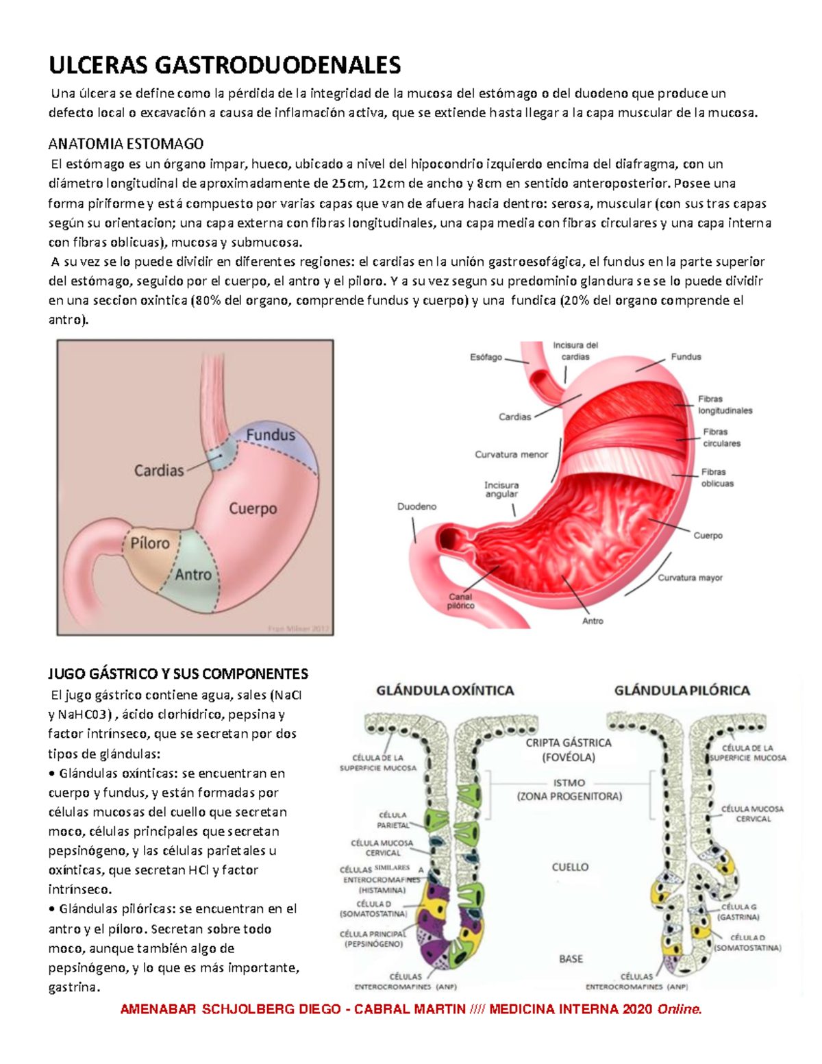 Ulceras Gastroduodenales Y Gastritis Ulceras Gastroduodenales Una