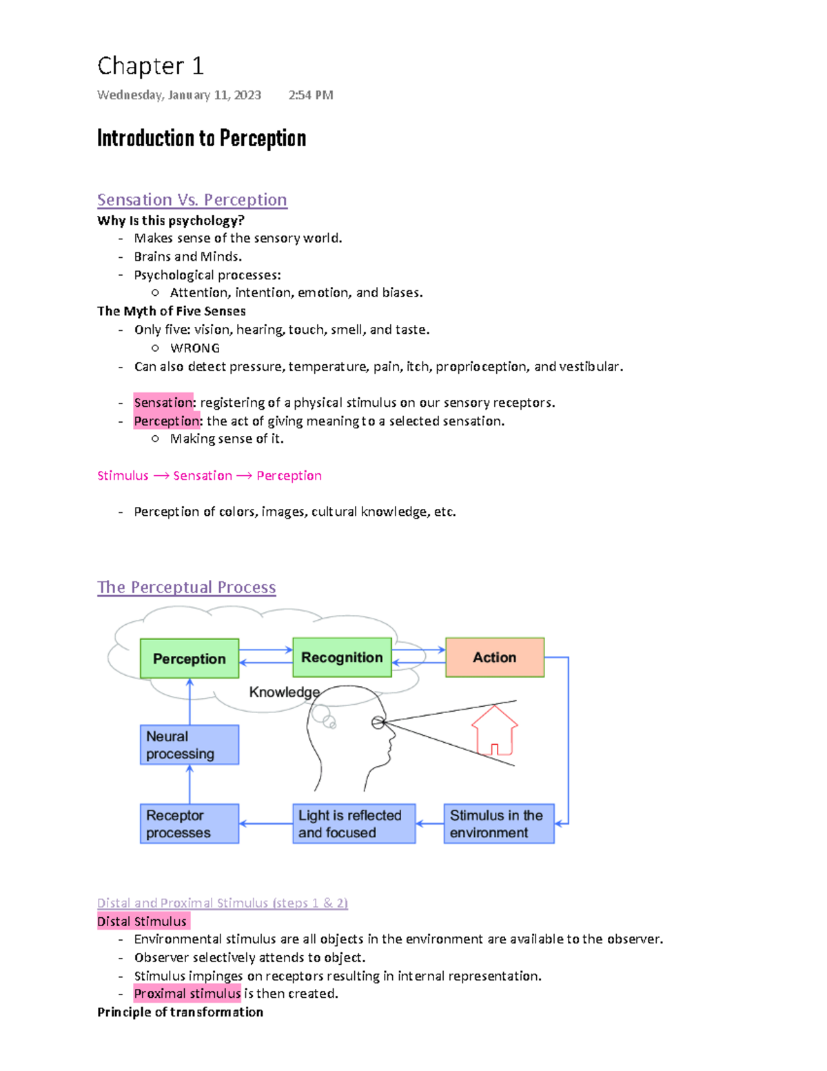 Unlocking Perception: Distal Vs. Proximal Stimulus - lnba4l6