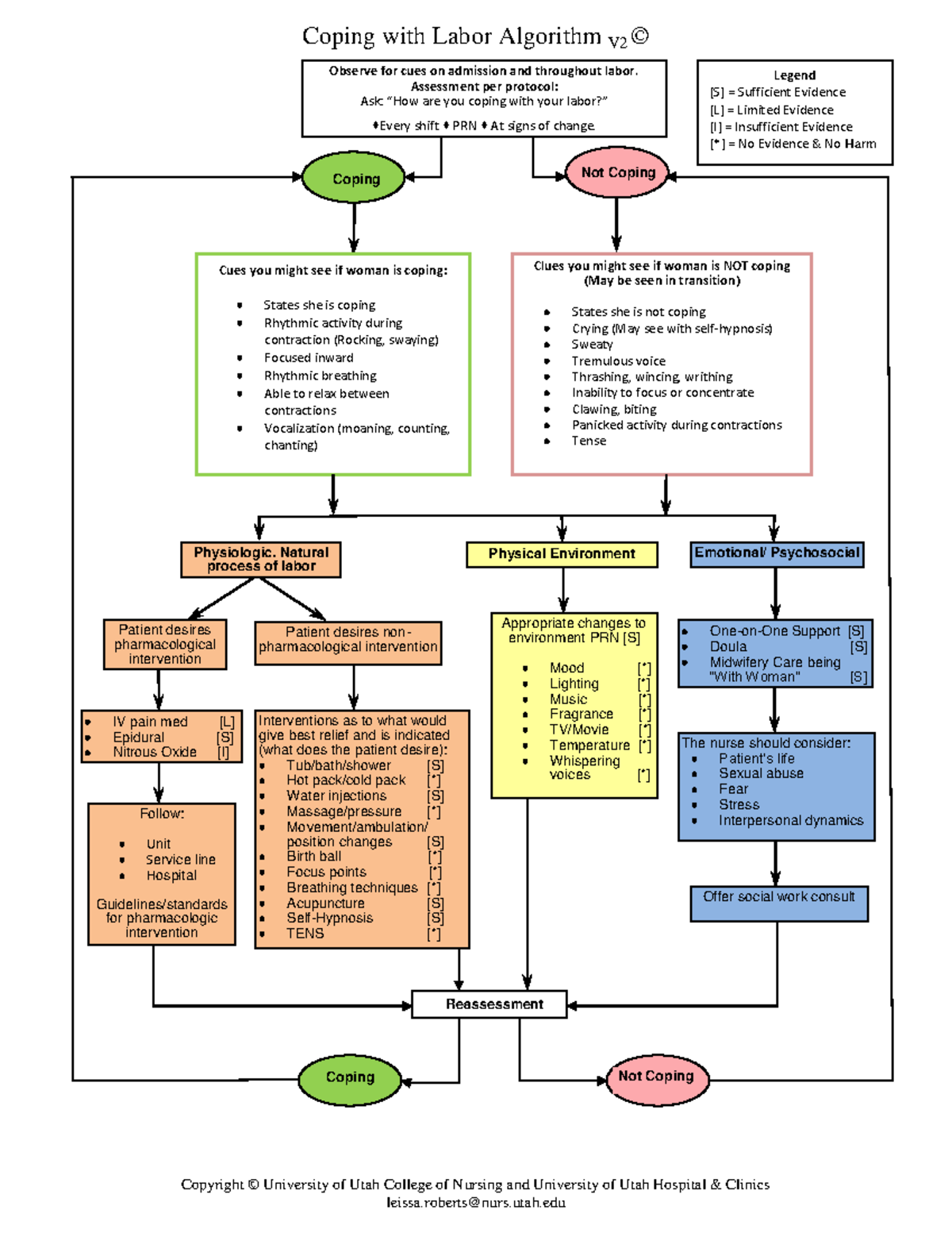 Coping with Labor Algorithm 2 - Coping with Labor Algorithm V ...