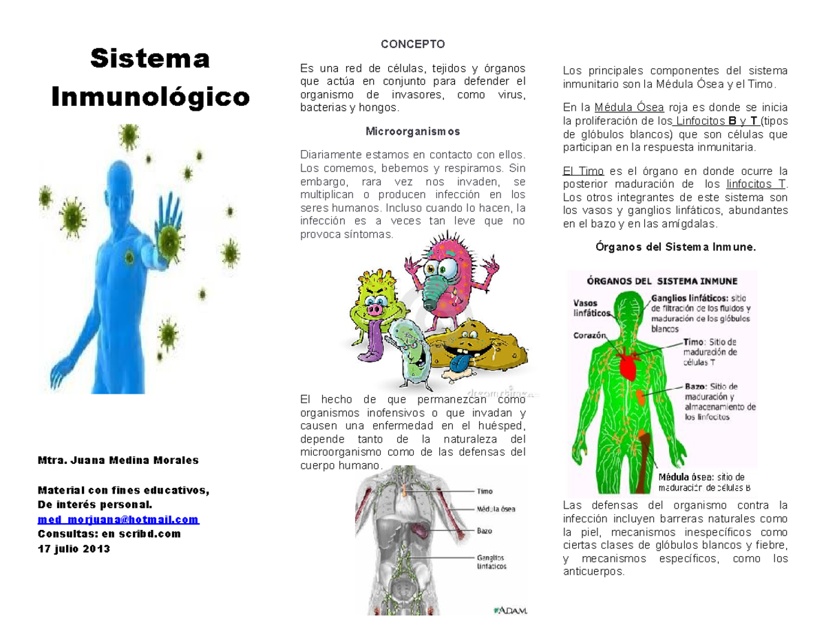 Sistema Inmunolo Gico Triptico Sistema Inmunol Gico Mtra Juana Medina Morales