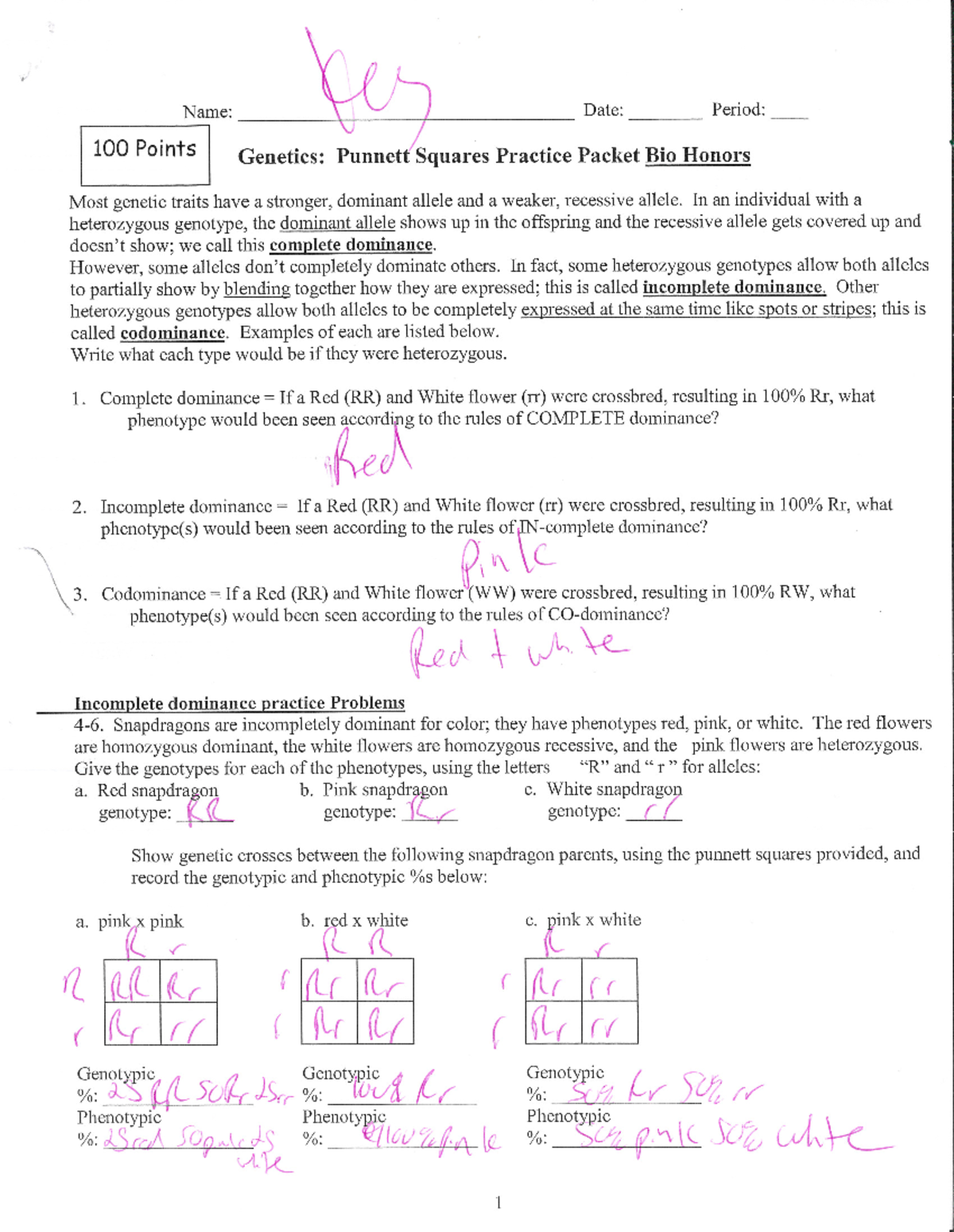 Genetics punnett squares practice packet key - Studocu