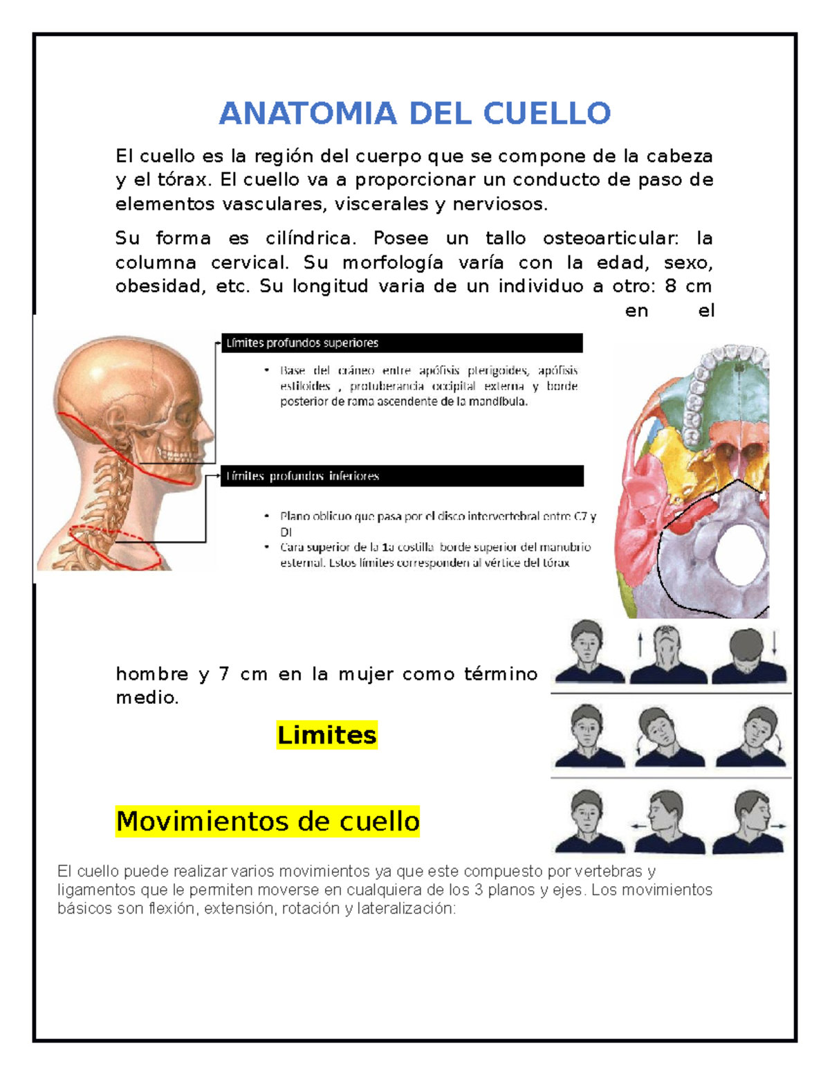 Anatomia DEL Cuello - ANATOMIA DEL CUELLO El cuello es la región del ...