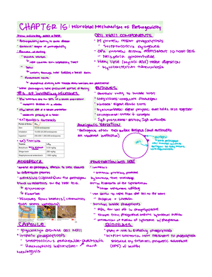 [solved] Which Of The Following Properties Are Exclusive Unique To Rrna 