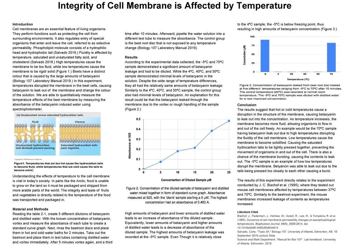 Biol Lab 107 Scientific Poster 2 - Integrity Of Cell Membrane Is ...