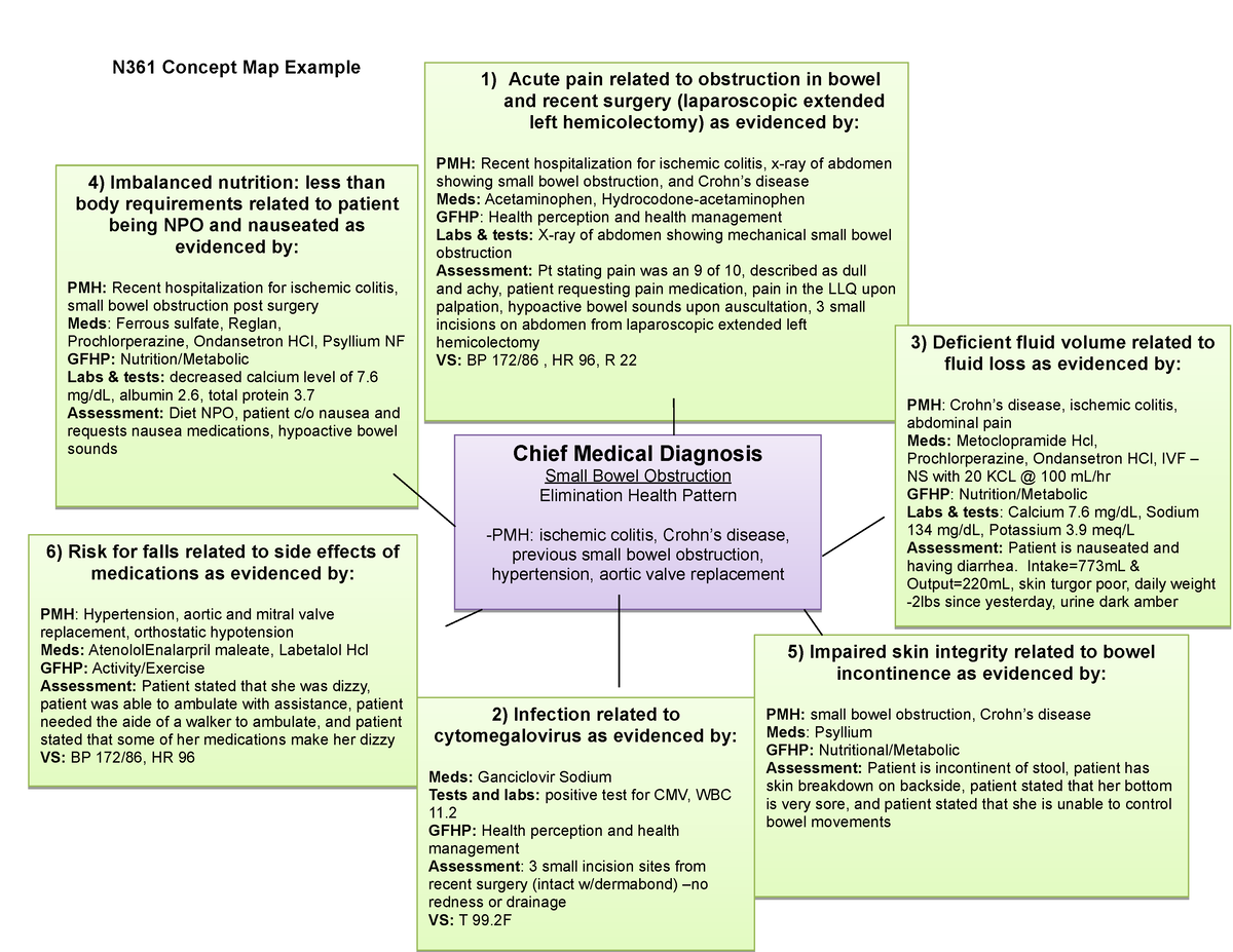 Concept Map Example 2 Identify And Develop Priority Nursing Diagnosisinterventions For An 5502